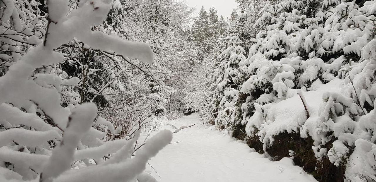 Podskali Adrspach Teplice nad Metují المظهر الخارجي الصورة